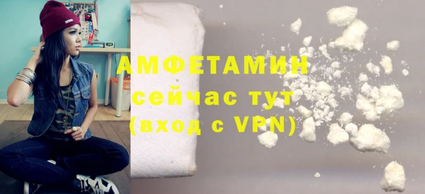 индика Аркадак