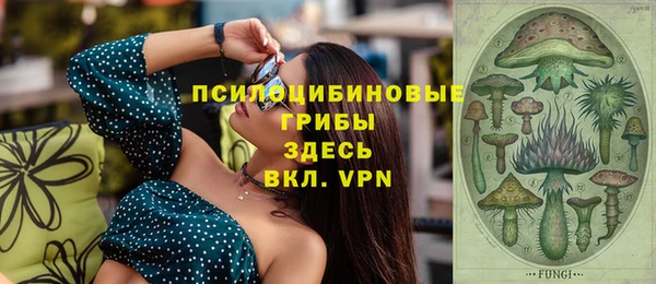 сатива Арсеньев