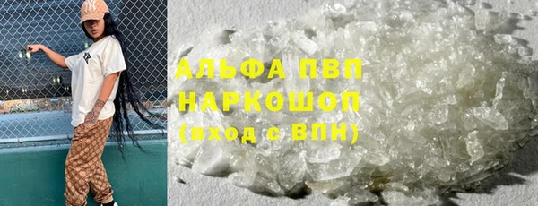 индика Аркадак