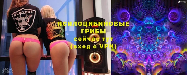 МДПВ Алексеевка