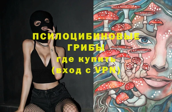 МДПВ Алексеевка