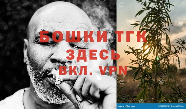 сатива Арсеньев