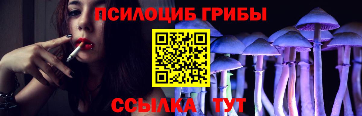 Галлюциногенные грибы Psilocybe  Псилоцибиновые грибы мицелий  Вход с VPN  Апшеронск 